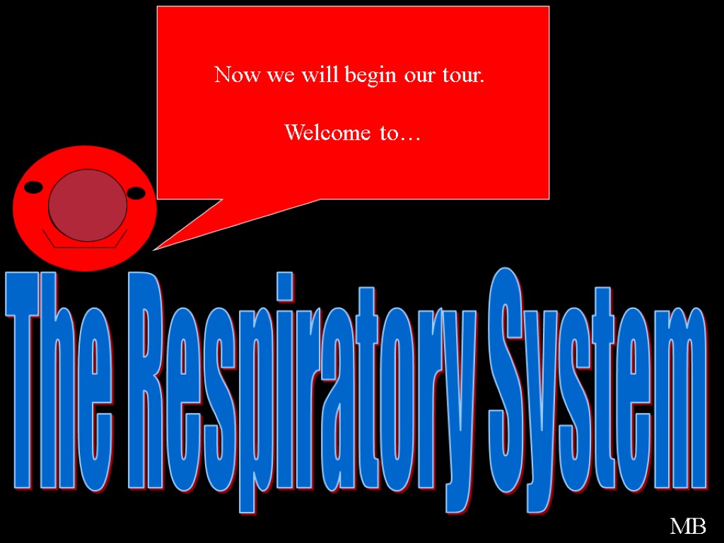 The Respiratory System Welcome Now we will begin our tour. Welcome to… MB